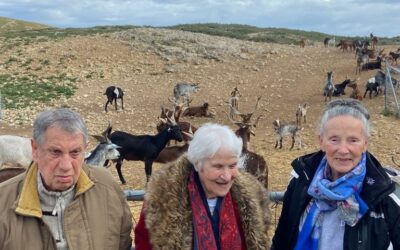 A la rencontre des Chèvres du Rove